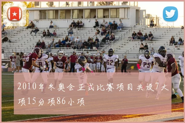 2010年冬奥会正式比赛项目共设7大项15分项86小项