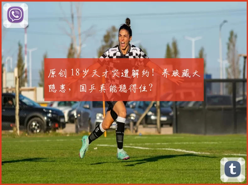 原创 18岁天才突遭解约！养狼藏大隐患，国乒真能稳得住？