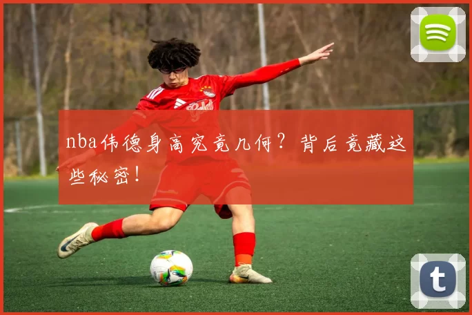 nba伟德身高究竟几何？背后竟藏这些秘密！